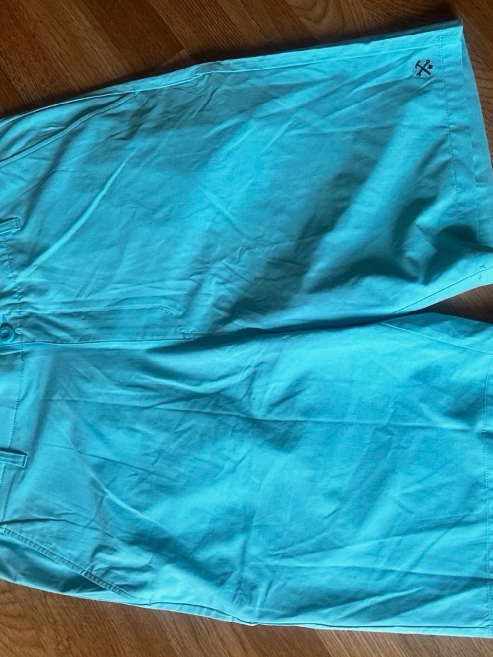 DIXXON men’s Turquoise Shorts